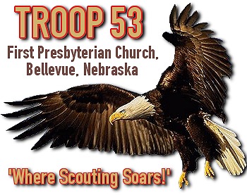 Troop 53 Eagle